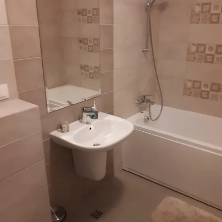 Apartment Apartament Alexandra Brasov